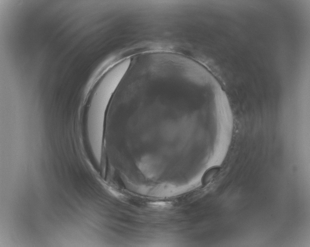 X0000054350053200508190139.png