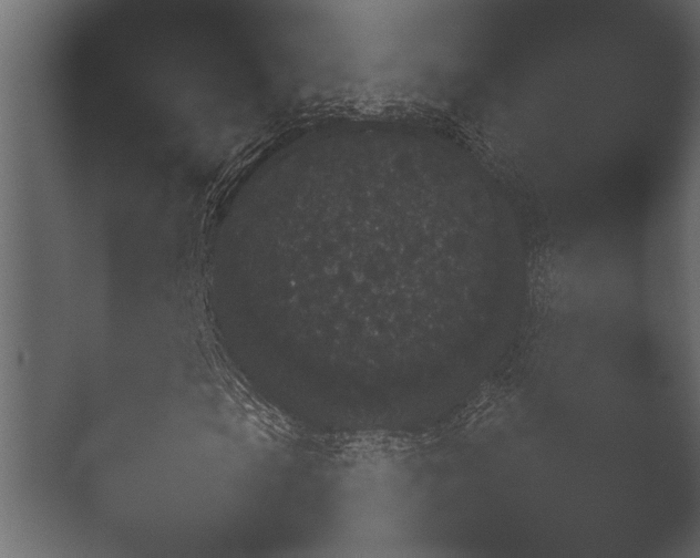 X0000051541105200506281731.png