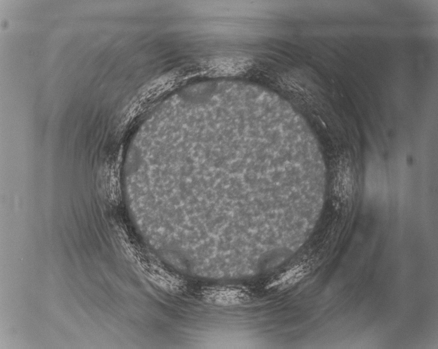 X0000054580743200508300100.png