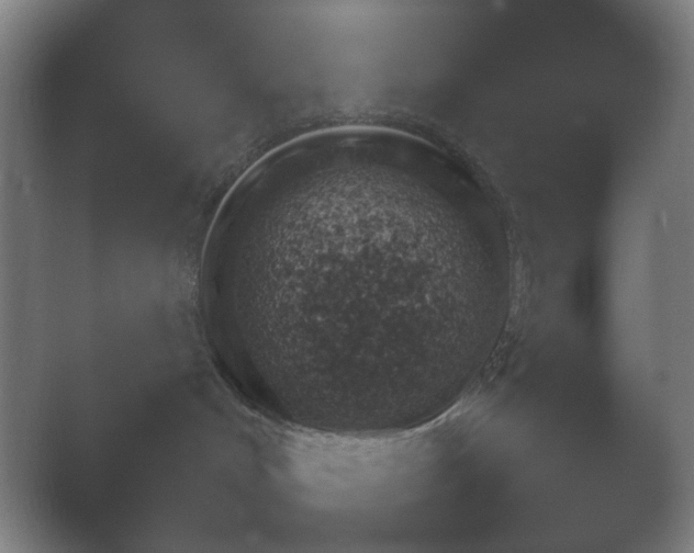 X0000054110048200508022110.png
