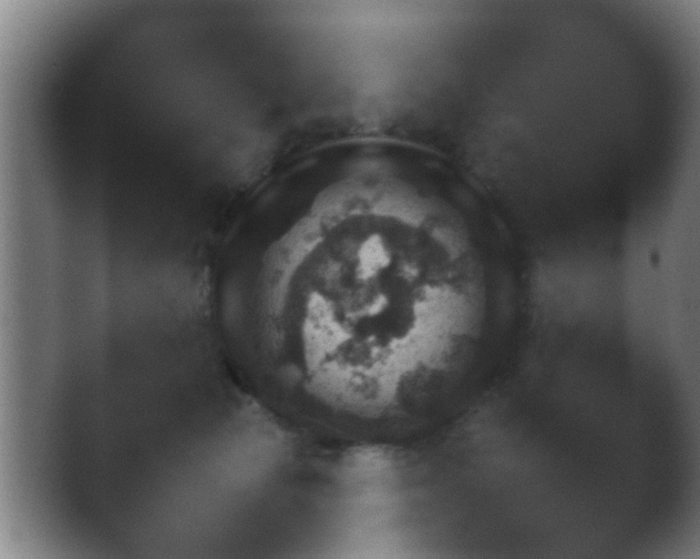 X0000038580177200409202141.png