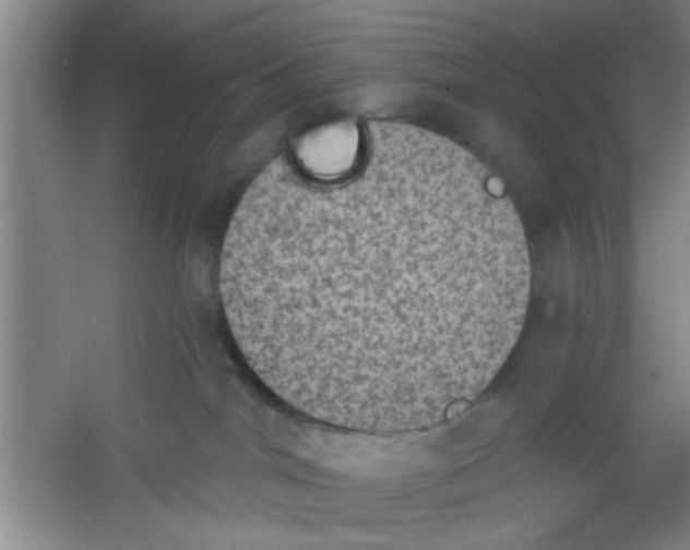 X0000053460044200508112209.png