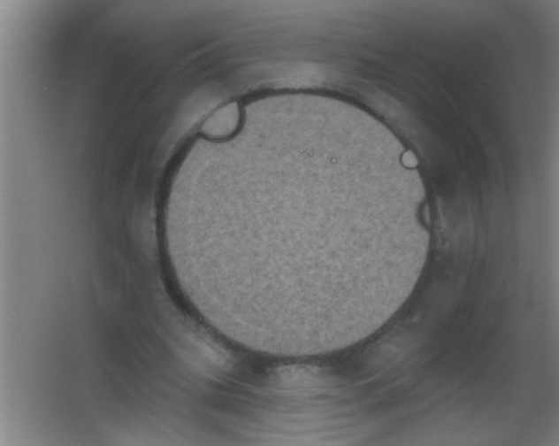 X0000053460535200508112200.png