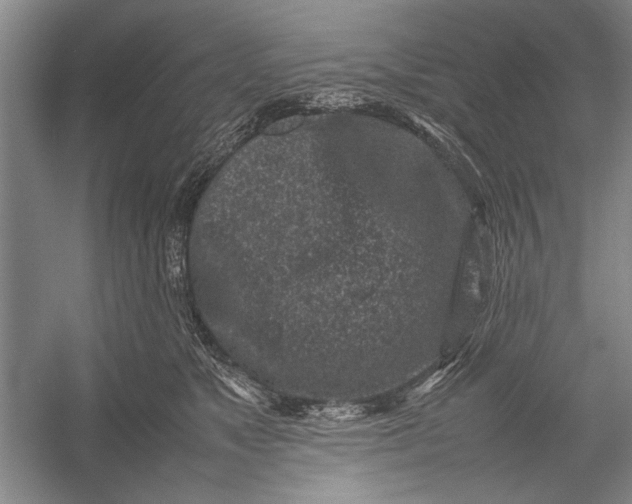 X0000055060517200508161649.png