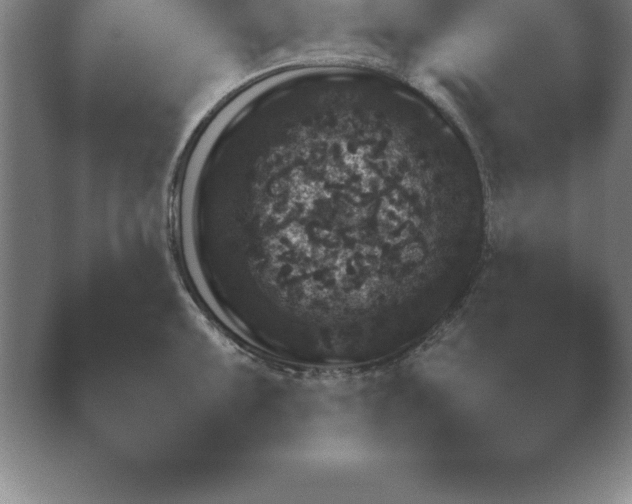 X0000039761099200409281019.png