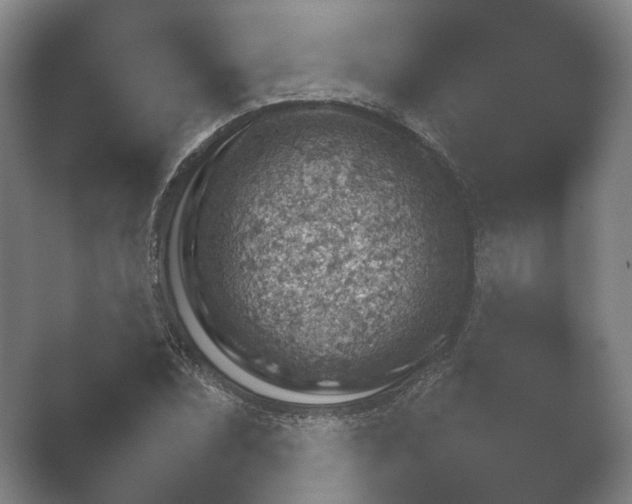 X0000052281071200507132022.png