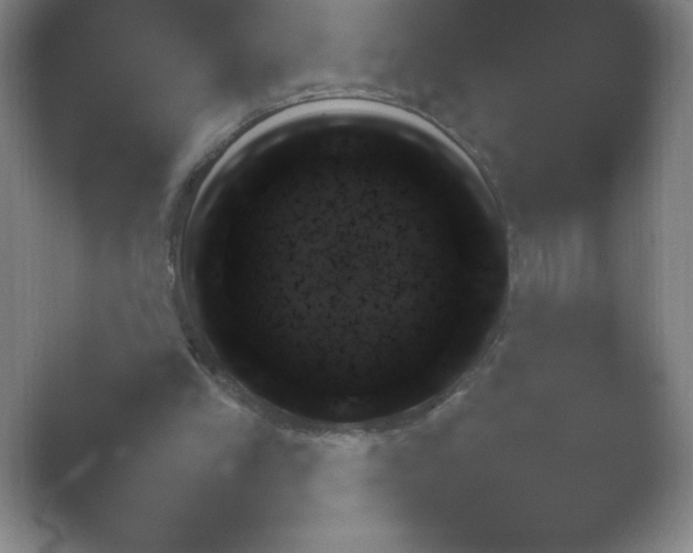 X0000054730245200508171859.png