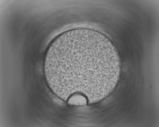 X0000053461499200508112143.png