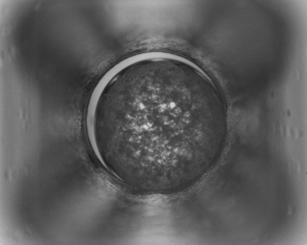 X0000043780153200412291335.png