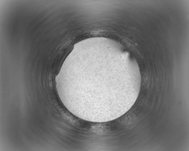 X0000054270470200508261921.png