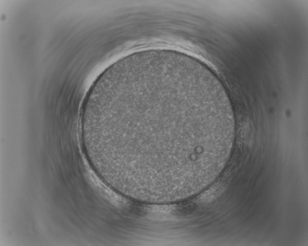X0000054581518200508300047.png