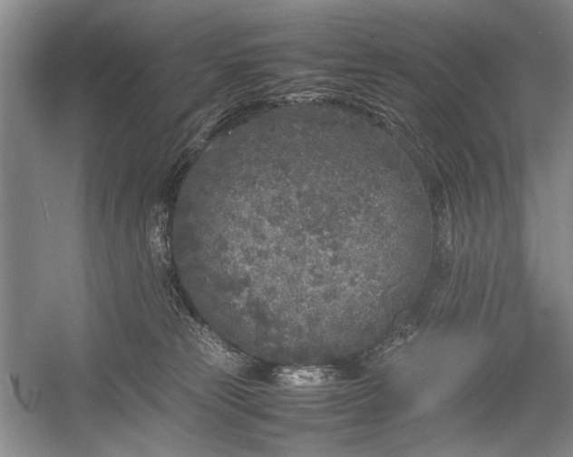 X0000055060181200508161655.png