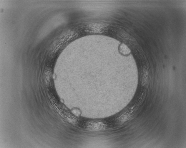 X0000054580747200508300100.png