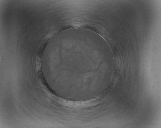 X0000055210043200508301333.png