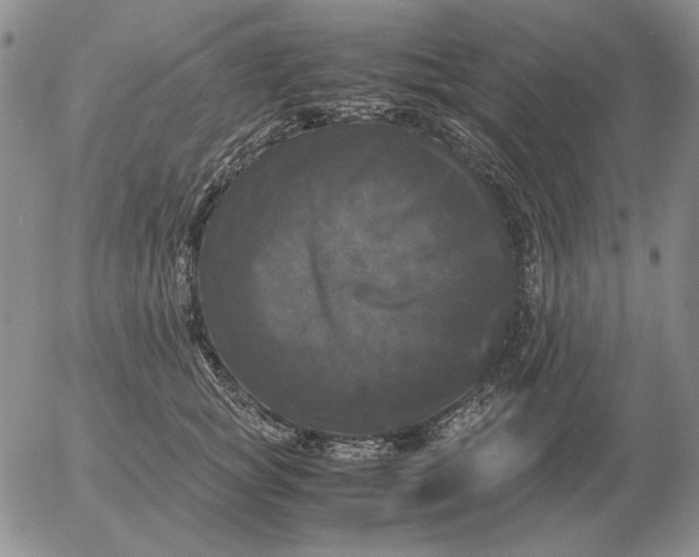 X0000054170757200508101759.png