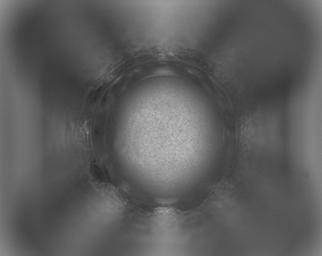 X0000052280218200507132037.png