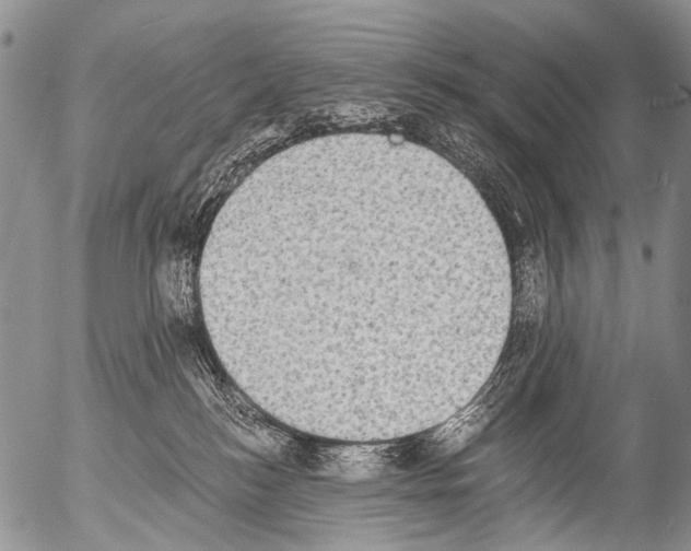 X0000054580184200508300110.png