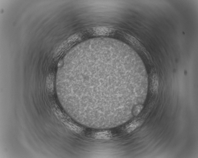 X0000054580505200508300104.png