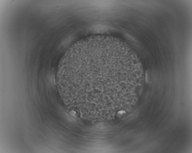 X0000053461155200508112150.png