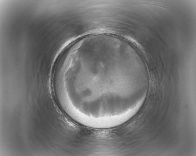 X0000054351278200508190119.png