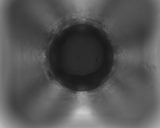 X0000054730767200508171852.png