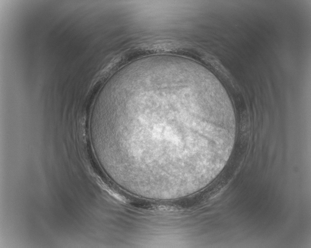 X0000054270585200508261918.png