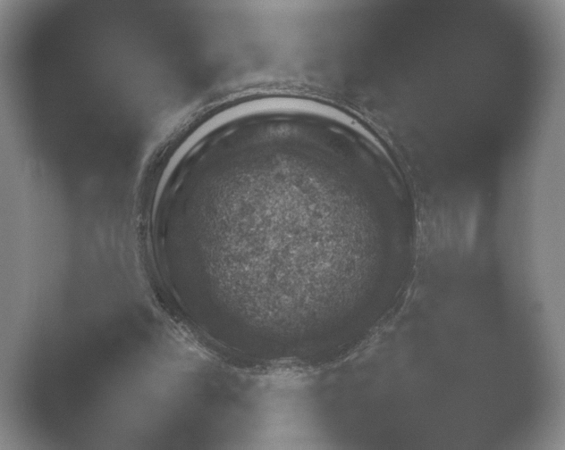 X0000052150149200507052000.png