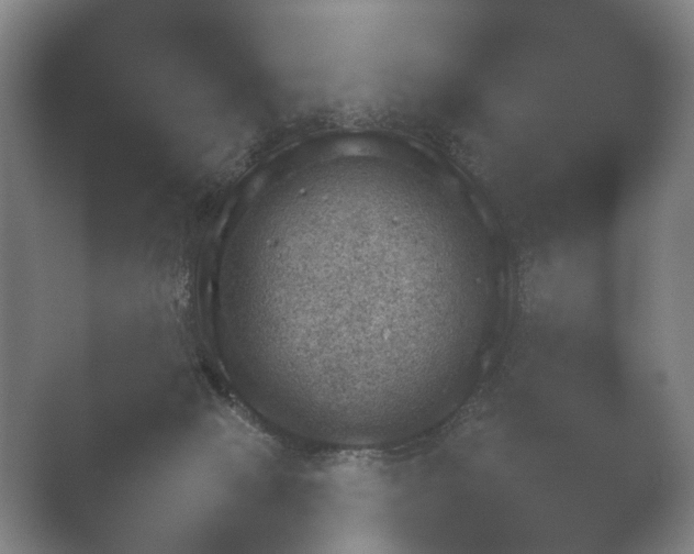 X0000052280077200507132039.png