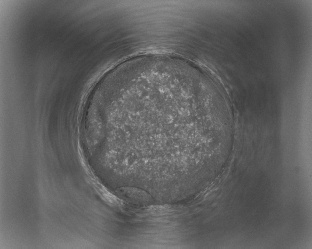 X0000055210145200508301331.png