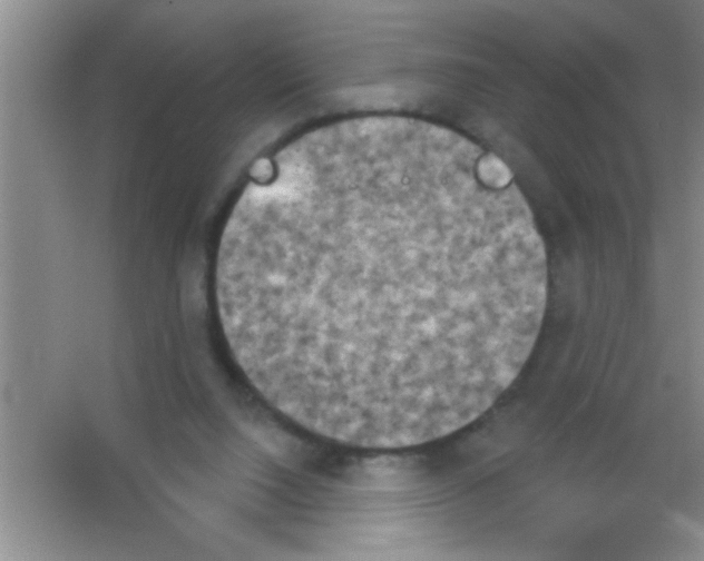 X0000053460064200508112208.png