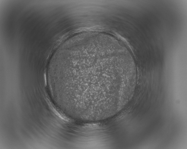 X0000055210061200508301332.png