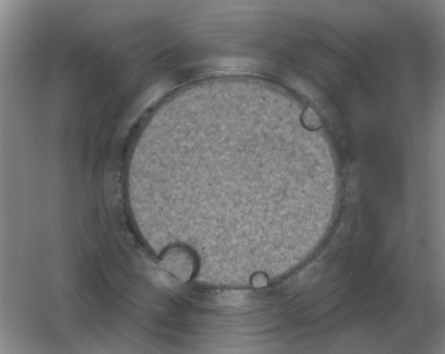 X0000053461211200508112148.png