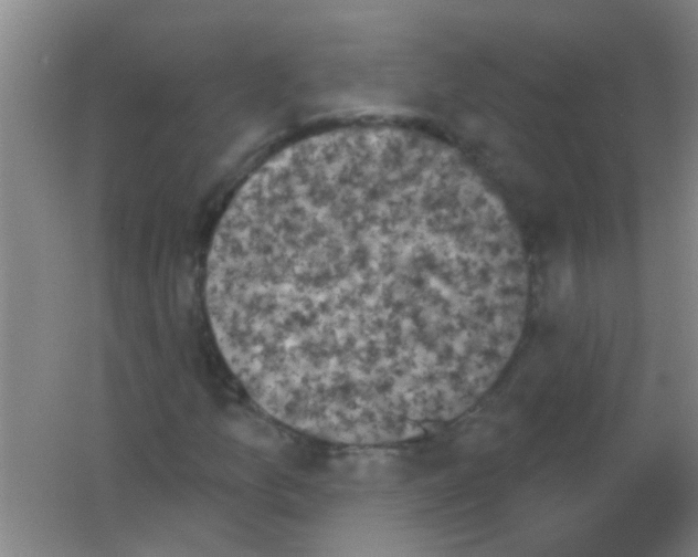X0000053461157200508112150.png
