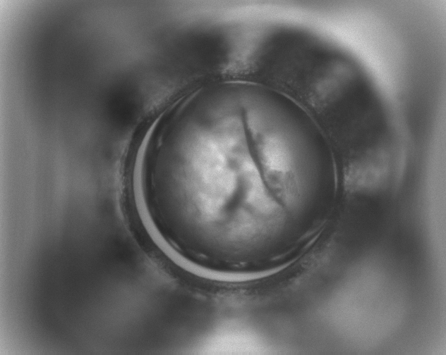 X0000041310725200411042049.png