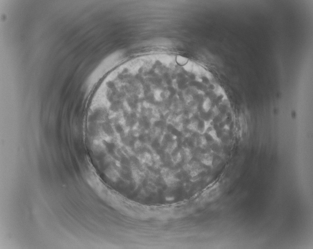 X0000054580004200508300112.png