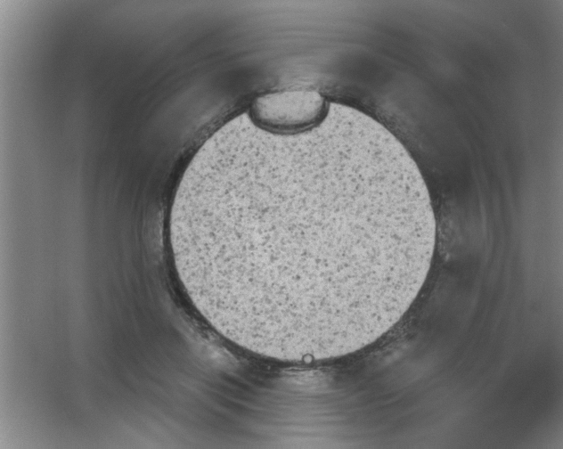 X0000053460454200508112201.png
