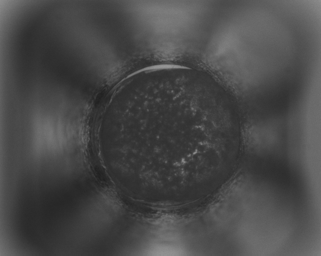X0000047500741200503161512.png