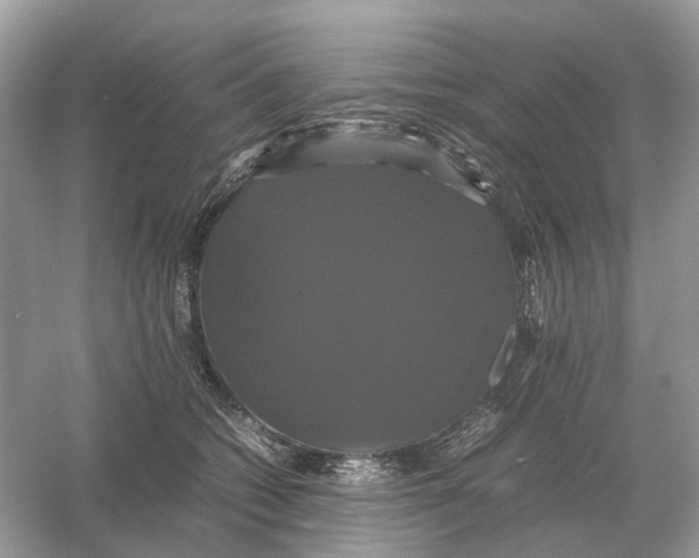 X0000054350562200508190131.png