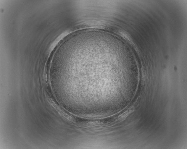X0000054650883200508091639.png