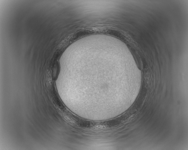 X0000054270593200508261918.png