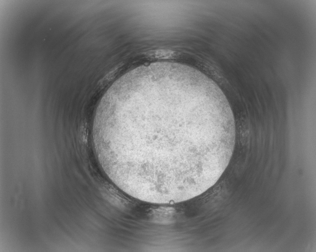 X0000054270374200508261922.png