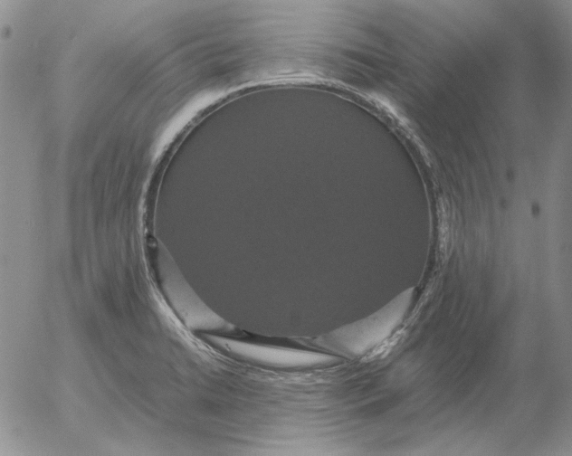 X0000054171422200508101748.png