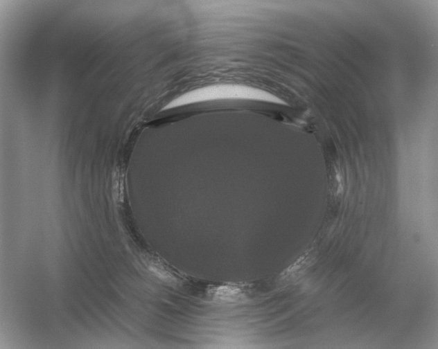 X0000054350180200508190138.png