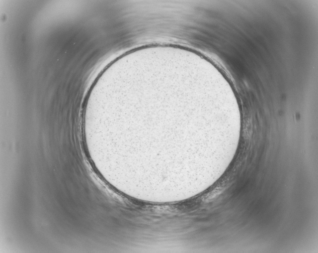 X0000054230903200508171507.png