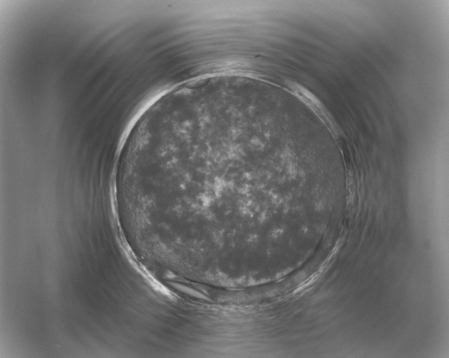 X0000054350812200508190126.png