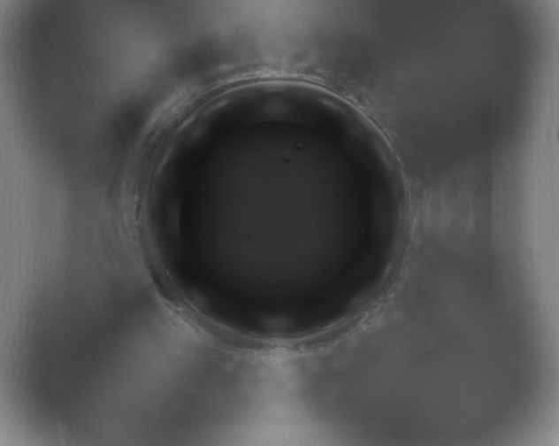 X0000054730197200508171900.png