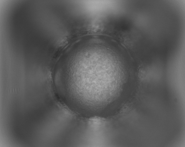 X0000054110375200508022105.png