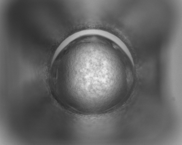 X0000052450018200507211326.png