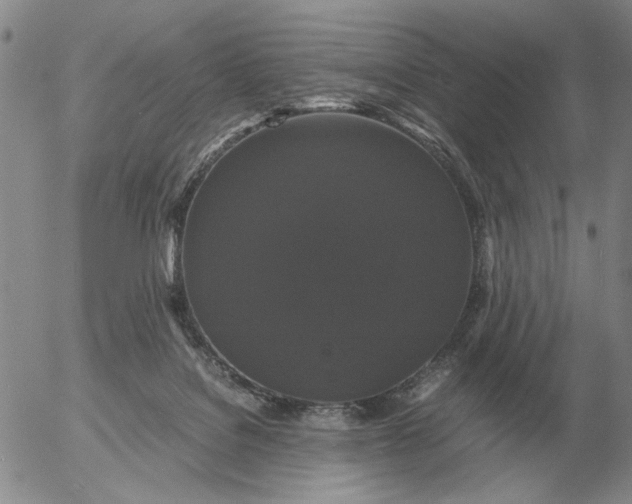 X0000054170076200508101810.png