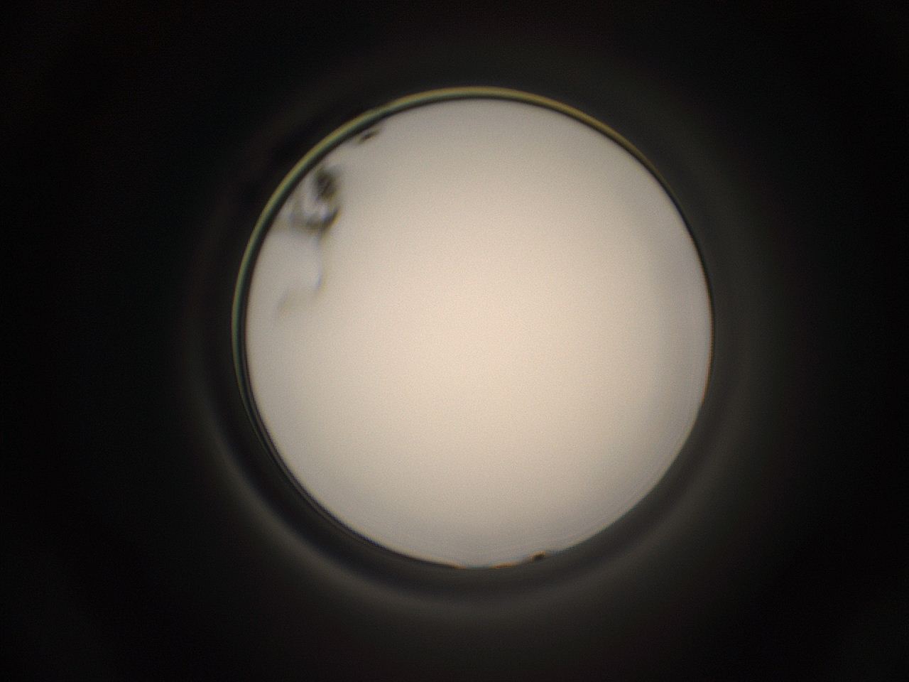 05g5_D21_ImagerDefaults_4.jpg
